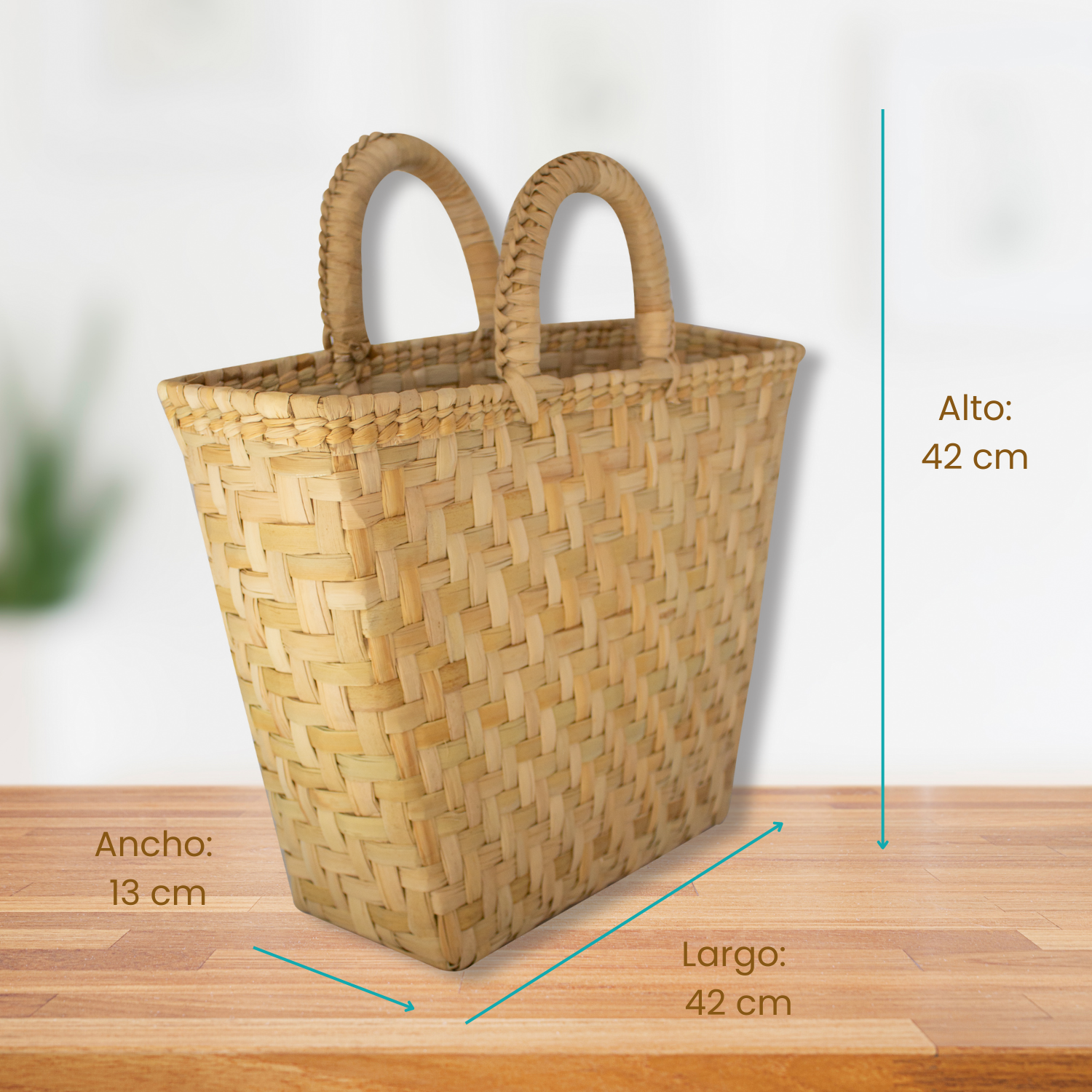 Bolsa de Palma con Asas