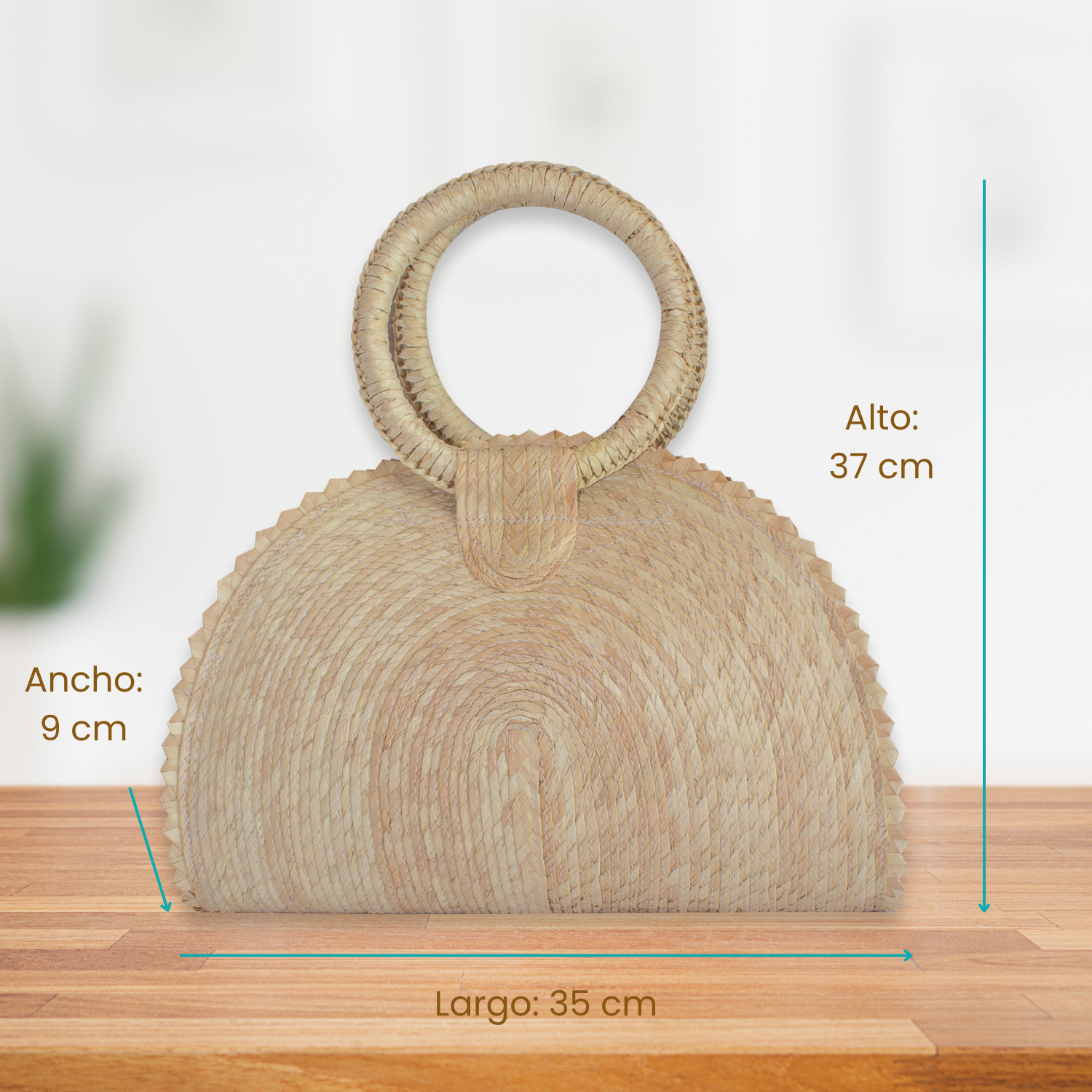 Bolsa de Palma